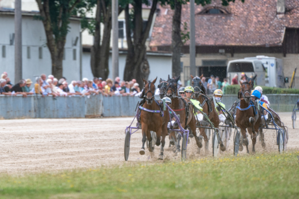 125 Jahre und einen Tag nach der Er&ouml;ffnung der Trabrennbahn Straubing wird am Mittwochabend im G&auml;uboden wieder getrabt. Insgesamt werden acht Sieger gesucht. (Foto: A. Weigel)