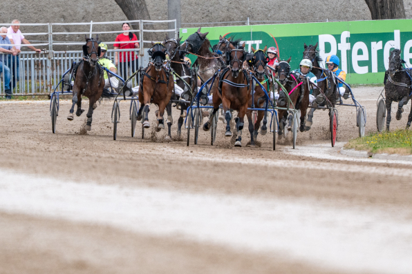 Siebenmal geht es am Mittwochmittag, ab 12 Uhr, in mehreren Spuren in den Schlussbogen. Jackpots und Poolgarantien machen das Angebot auch f&uuml;r die Wettkunden lukrativ. (Foto: Armin Weigel)