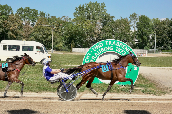 Das Fahrerdouble des Tages gelang Amateurfahrer Stefan Hiendlmeier, der mit Wim Hazelaar und See the Moon (unser Bild) zwei Rennen für sich entscheiden konnte.
